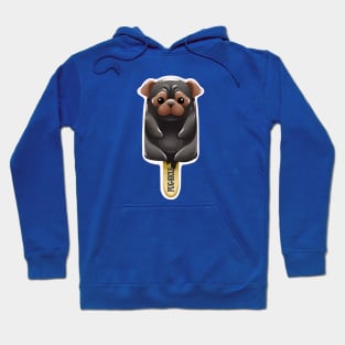 Pugsicle pup popsicle Hoodie